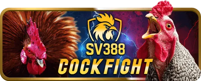 Thưởng nạp tiền hàng ngày/tuần tại 33win99 casino